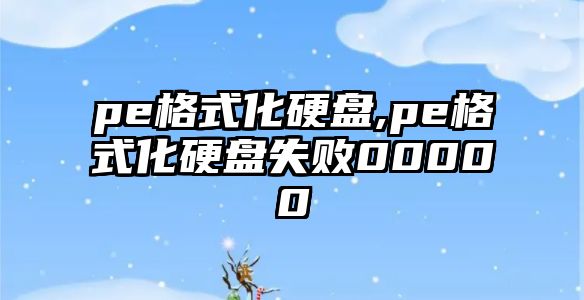 pe格式化硬盤,pe格式化硬盤失敗00000