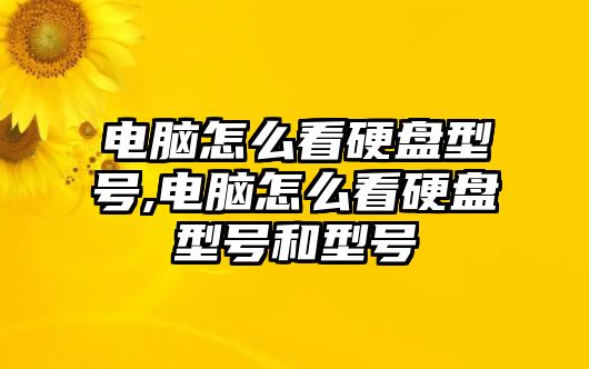 電腦怎么看硬盤型號,電腦怎么看硬盤型號和型號