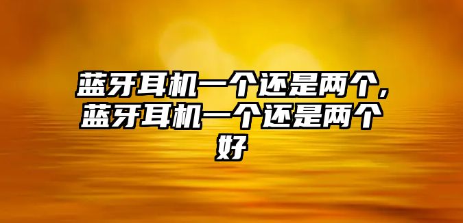 藍(lán)牙耳機(jī)一個還是兩個,藍(lán)牙耳機(jī)一個還是兩個好