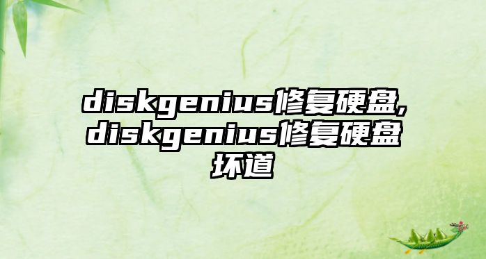 diskgenius修復(fù)硬盤,diskgenius修復(fù)硬盤壞道