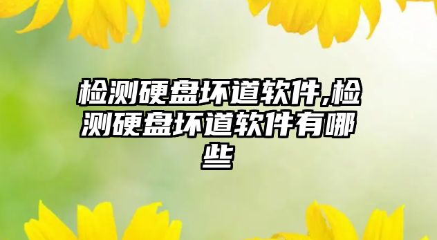 檢測(cè)硬盤(pán)壞道軟件,檢測(cè)硬盤(pán)壞道軟件有哪些